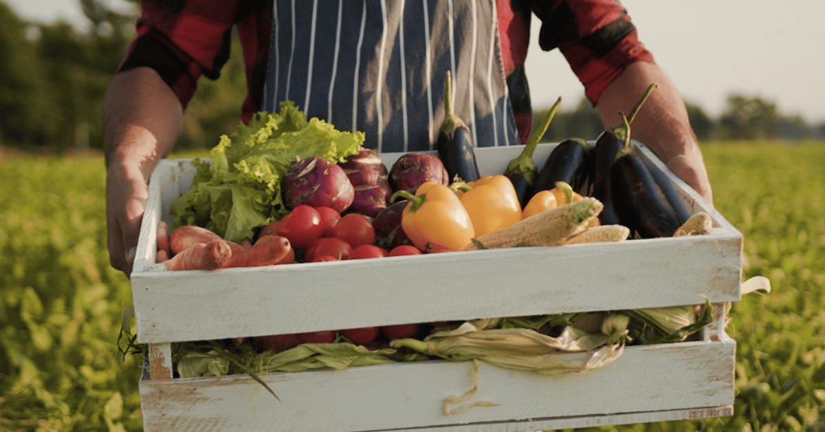Is-Organic-Food-Actually-Healthier.