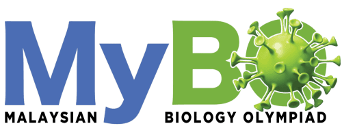 mybo
